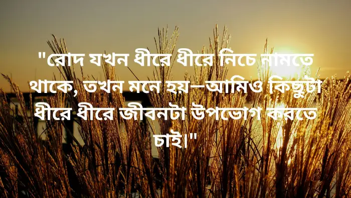বিকেলের রোদ নিয়ে ক্যাপশন