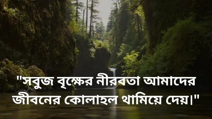সবুজ প্রকৃতি নিয়ে ক্যাপশন
